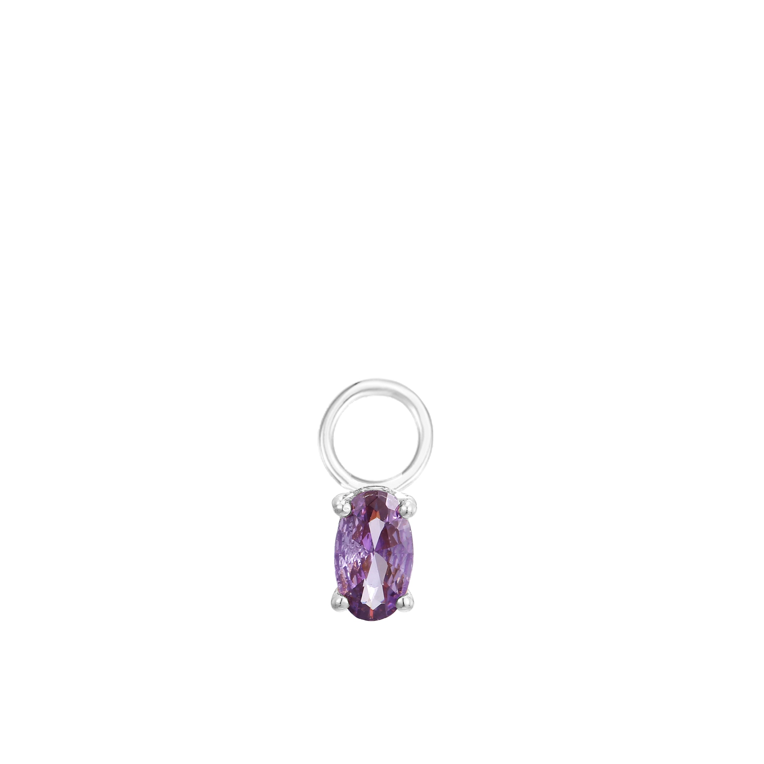 February Birthstone Earring Charm