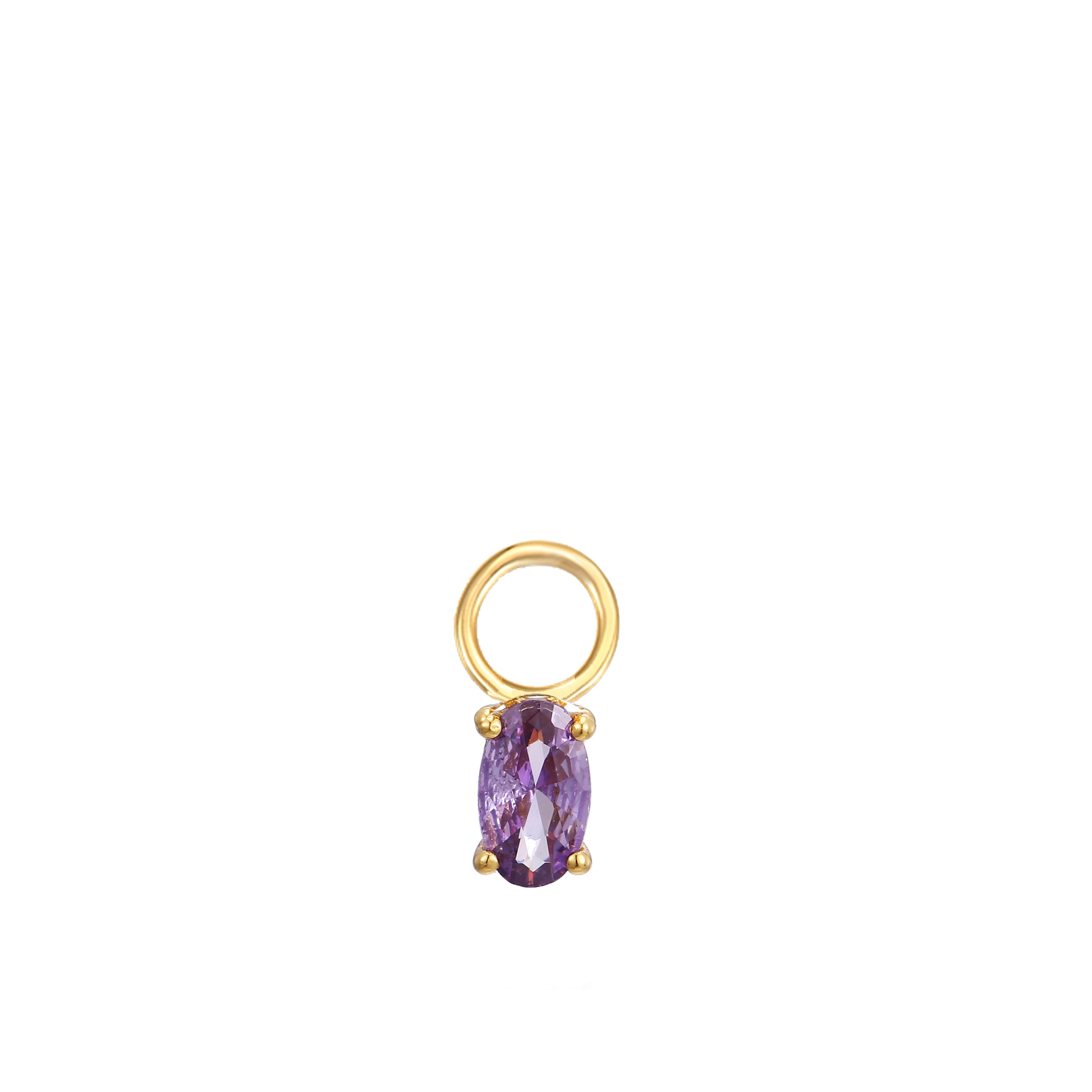 February Birthstone Earring Charm