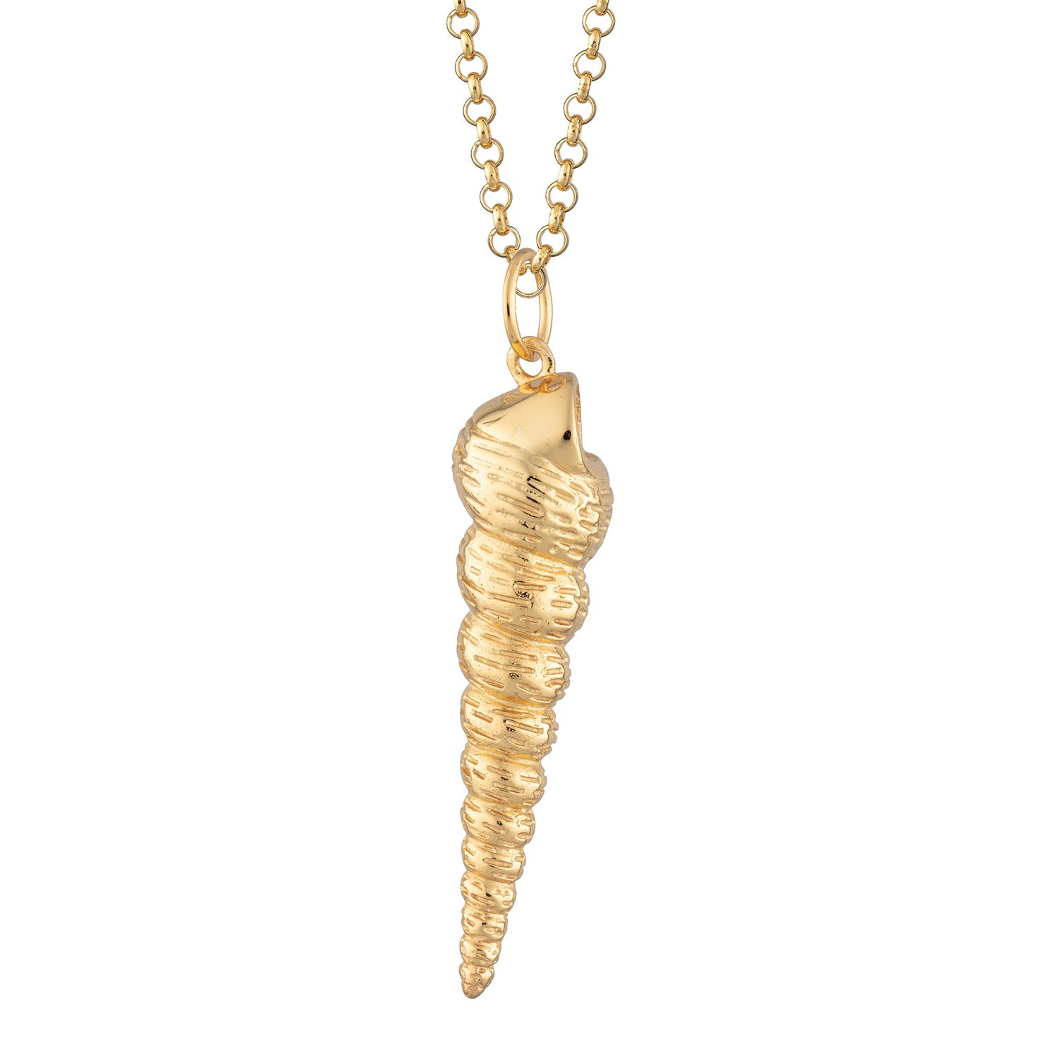 Turret Seashell Pendant