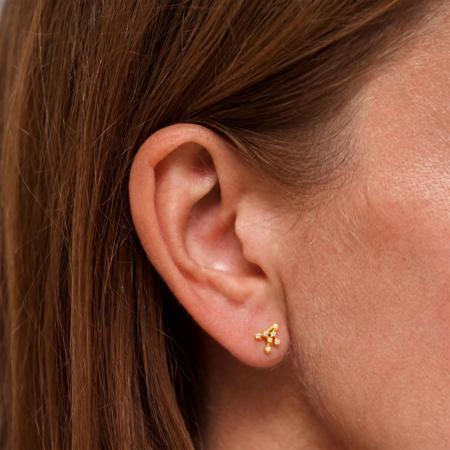 Virgo Zodiac Constellation Earrings