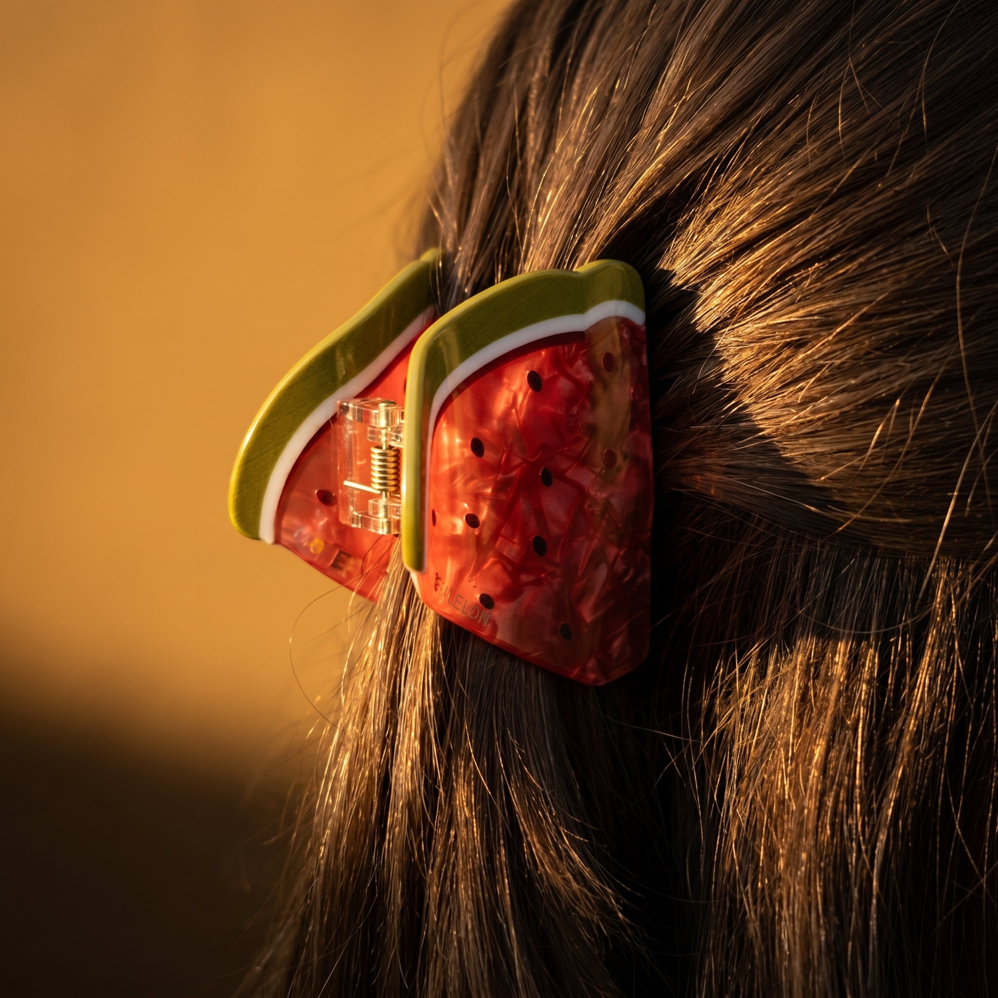 Watermelon Claw Clip