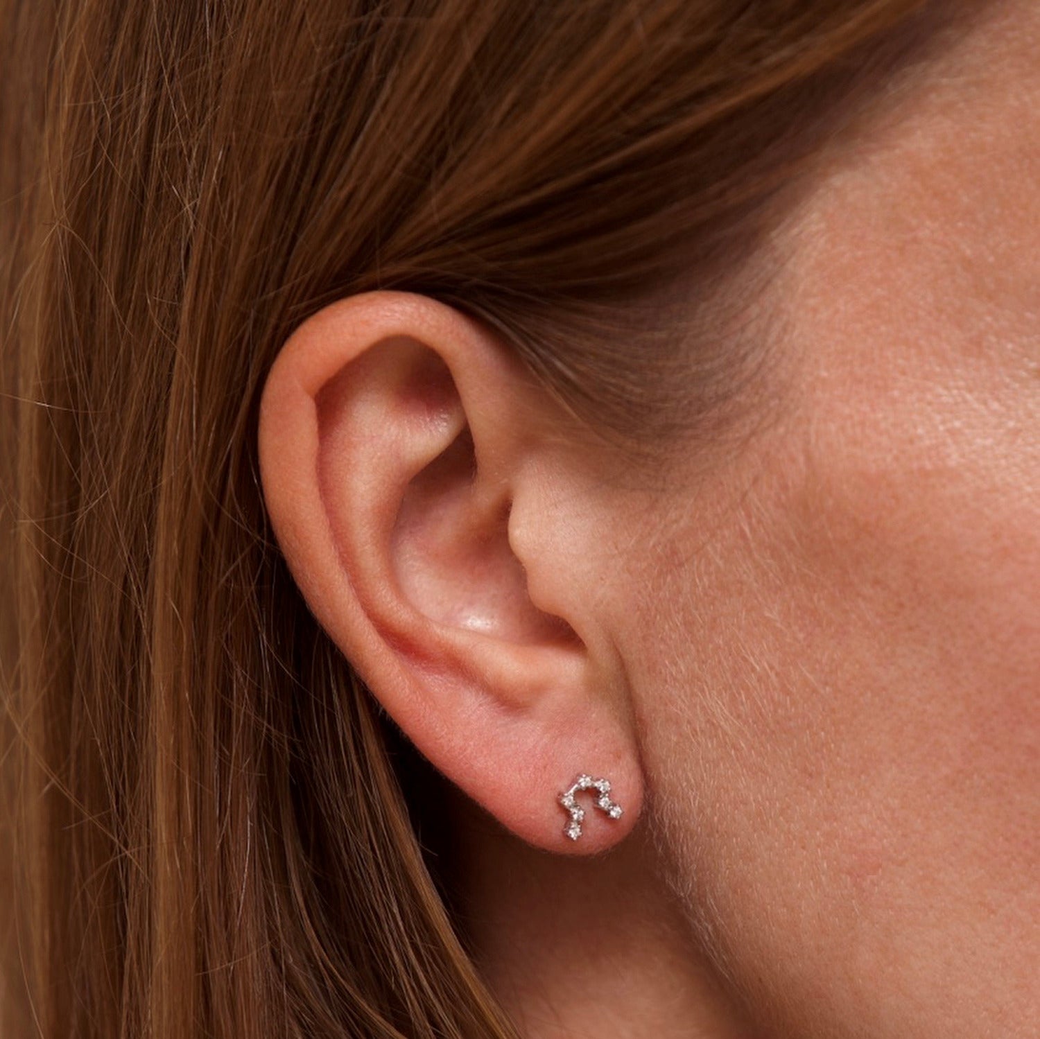 Aquarius Zodiac Constellation Earrings