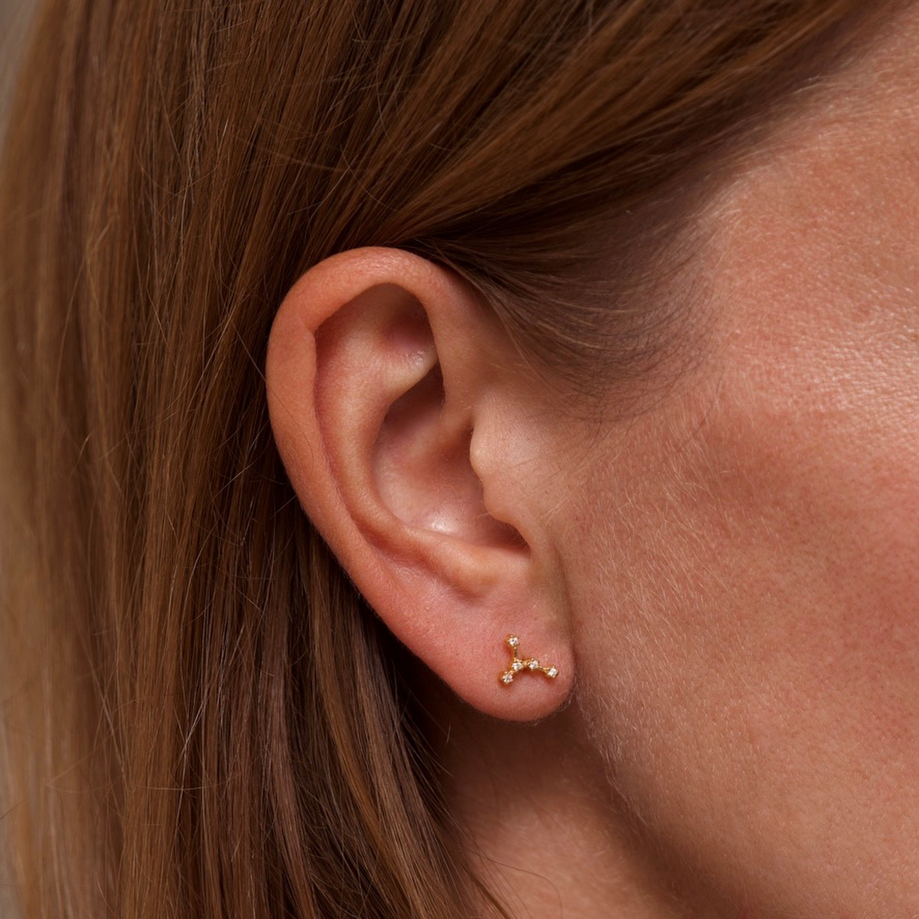 Cancer Zodiac Constellation Earrings