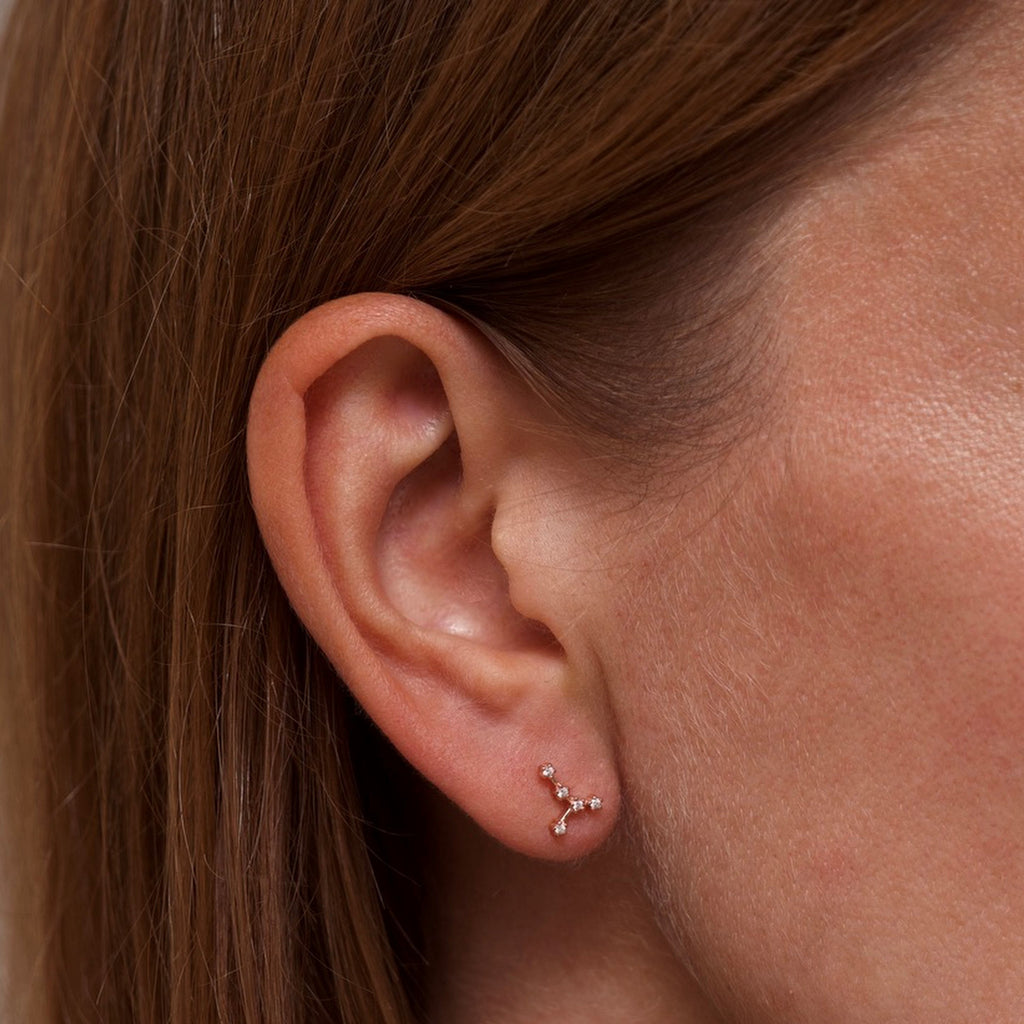 Cancer Zodiac Constellation Earrings