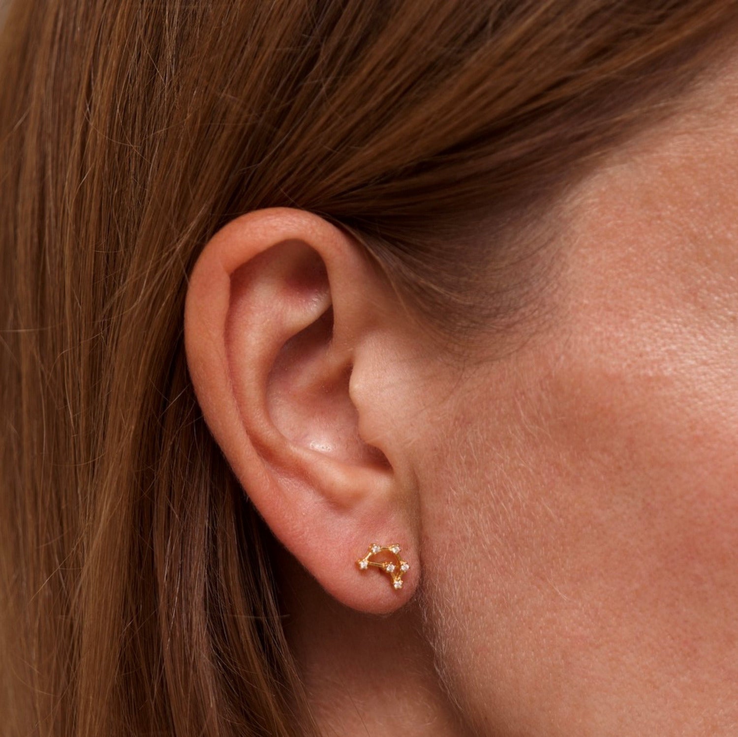 Capricorn Zodiac Constellation Earrings