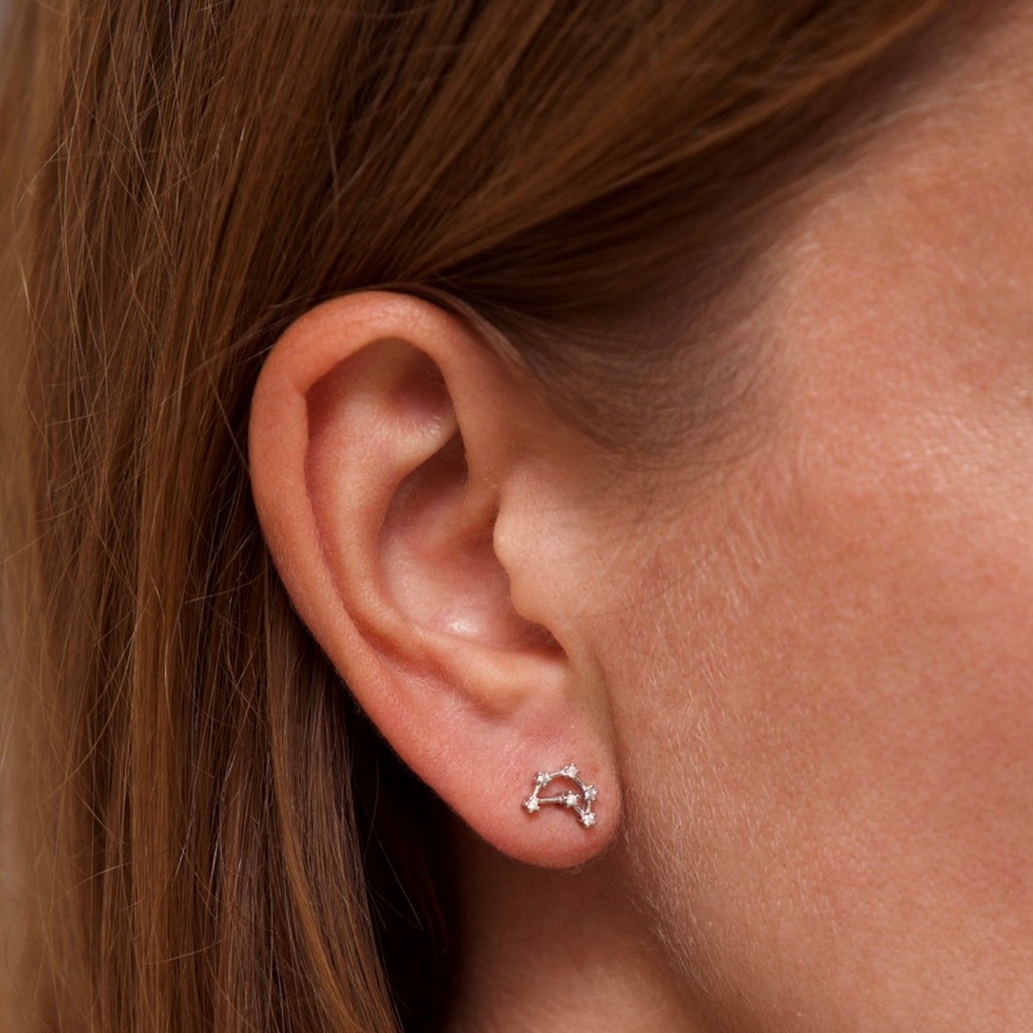Capricorn Zodiac Constellation Earrings