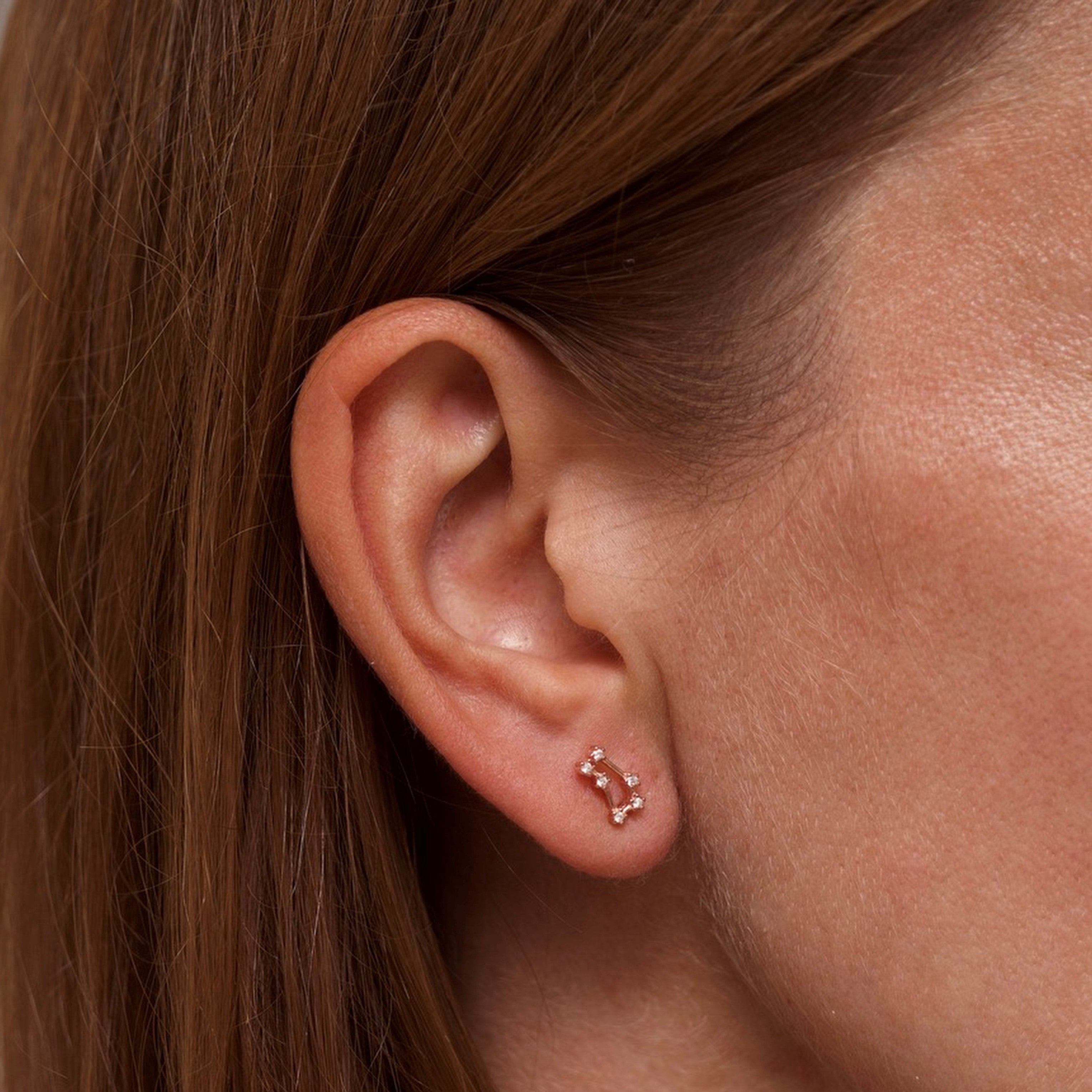 Zodiac Constellation Necklace & Earrings Gift Set