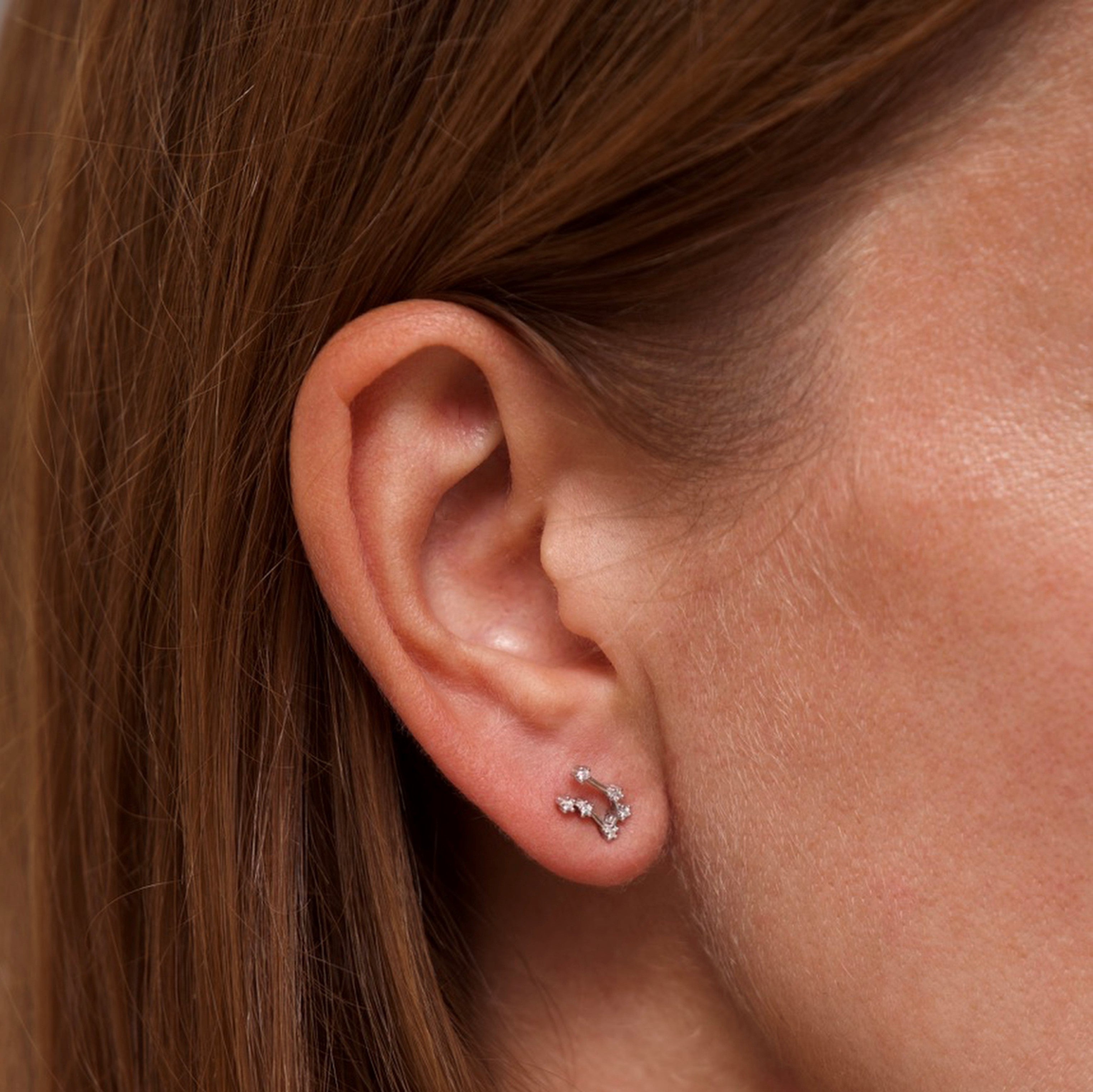 Gemini Zodiac Constellation Earrings