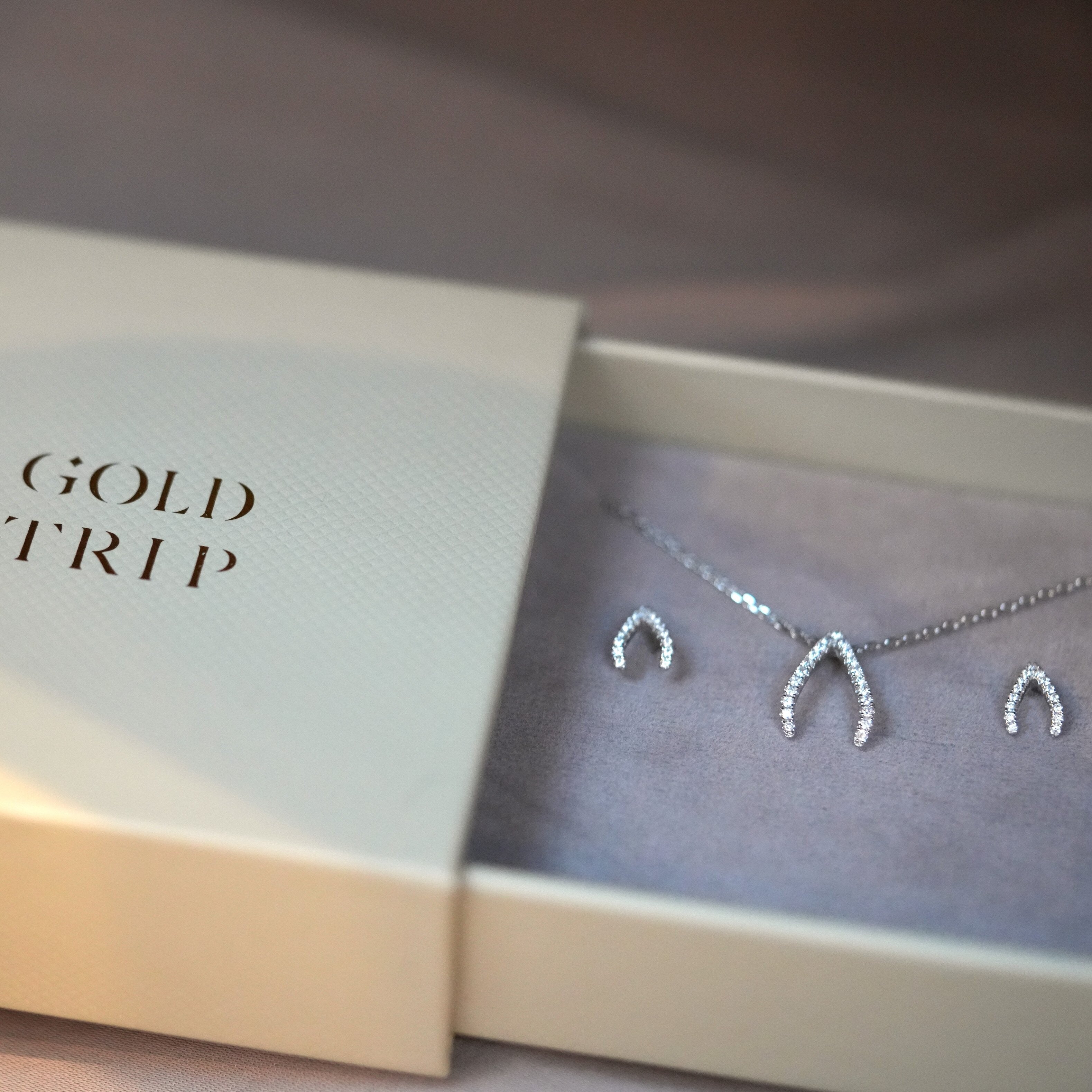 Sparkling Wishbone Necklace & Earrings Gift Set