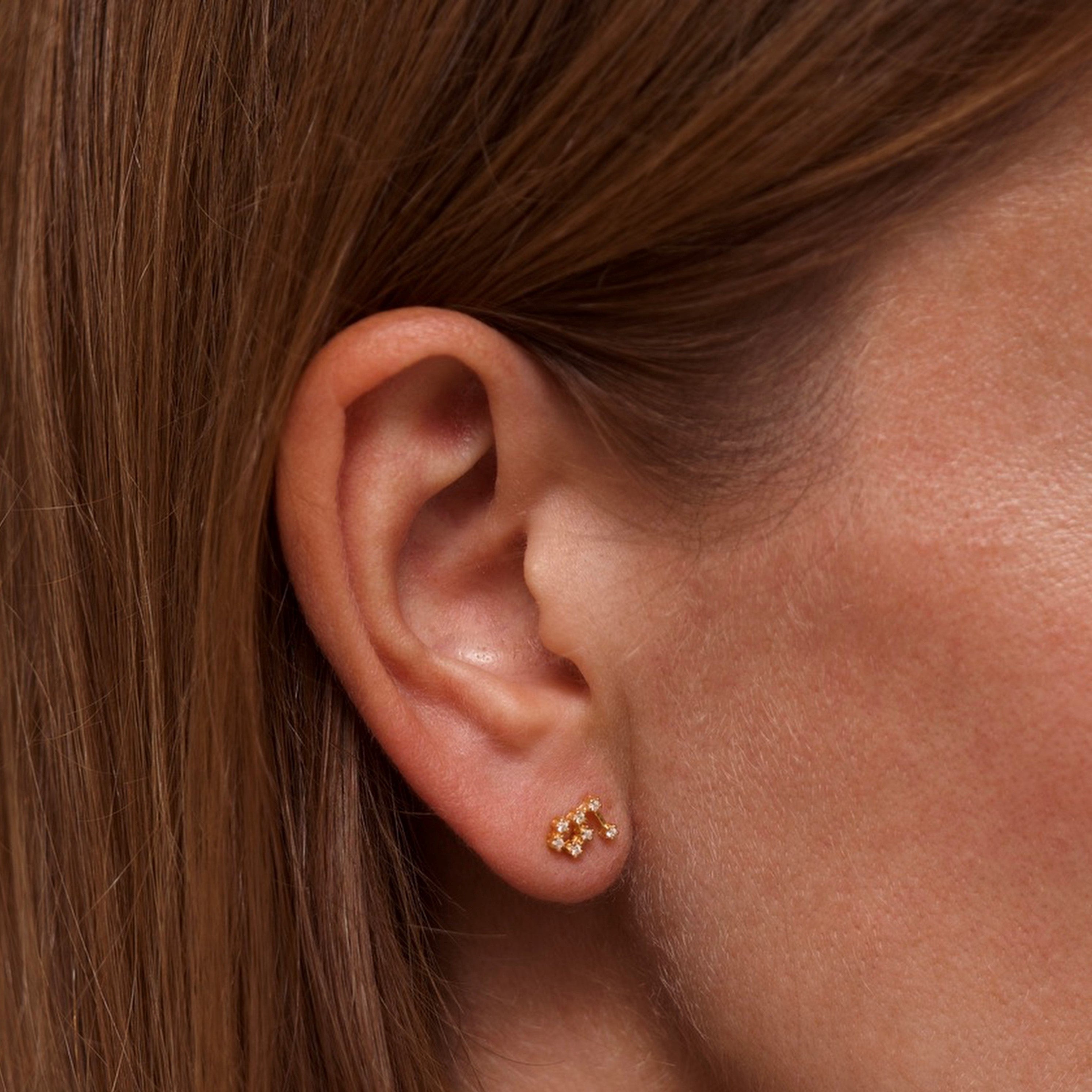 Leo Zodiac Constellation Earrings