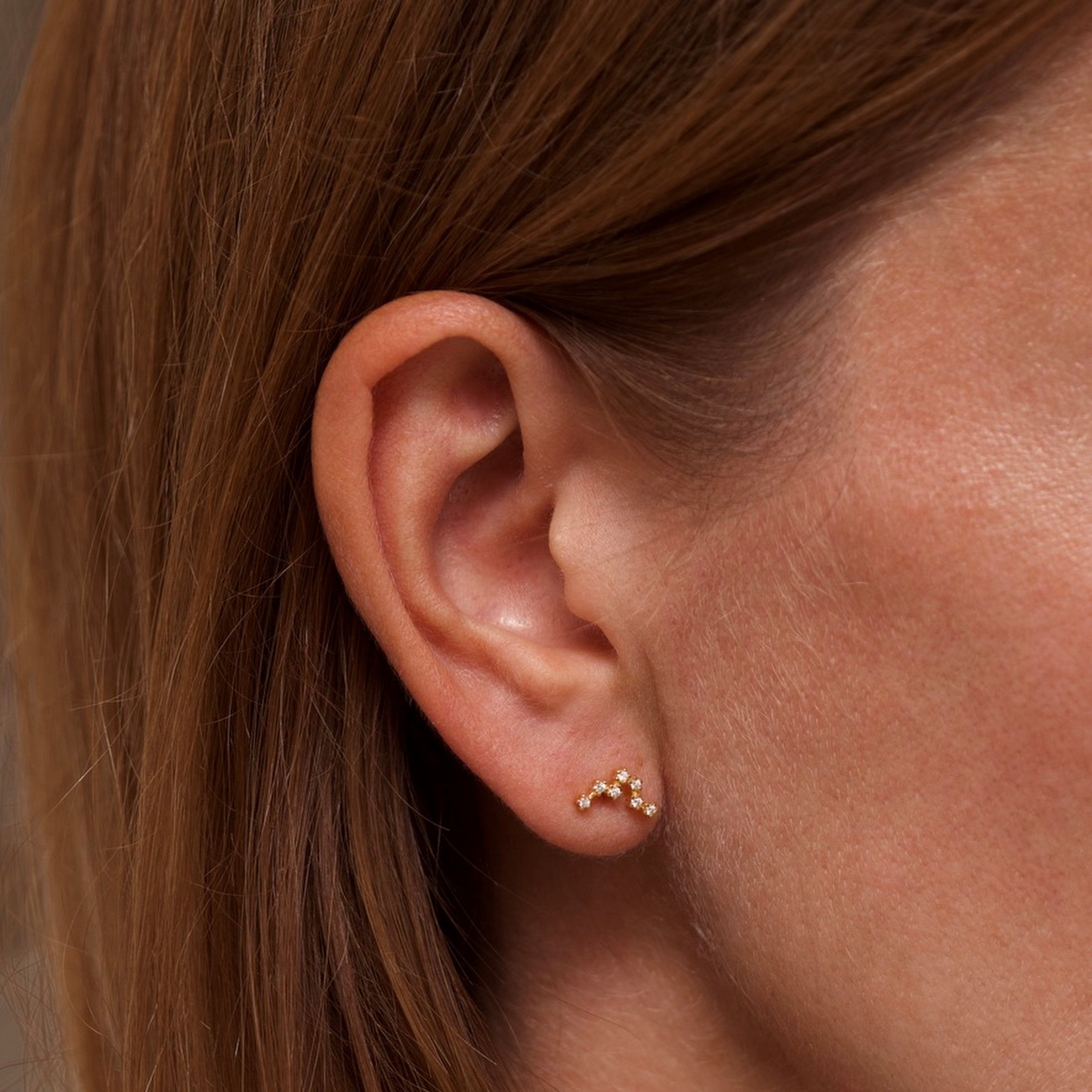 Pisces Zodiac Constellation Earrings