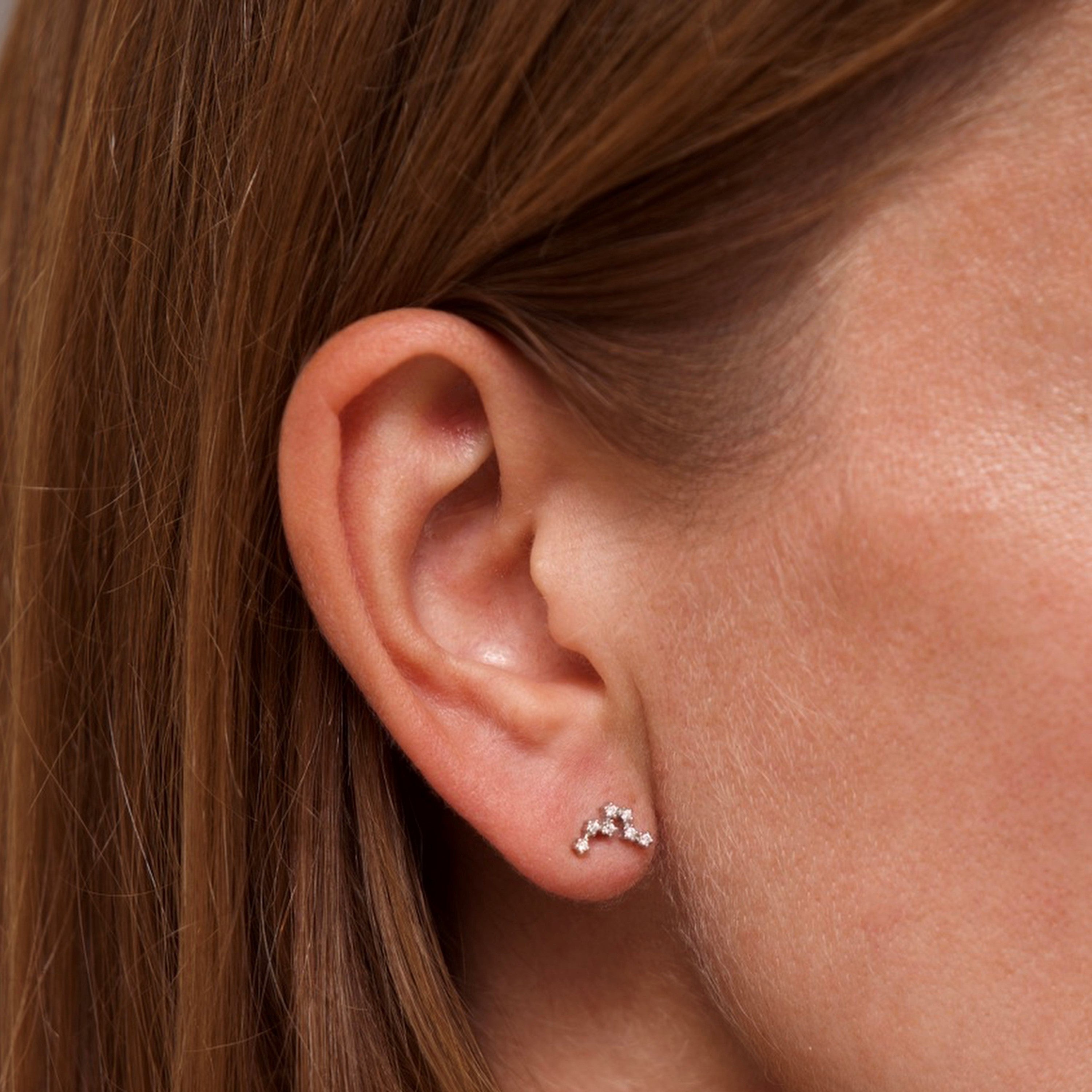 Pisces Zodiac Constellation Earrings