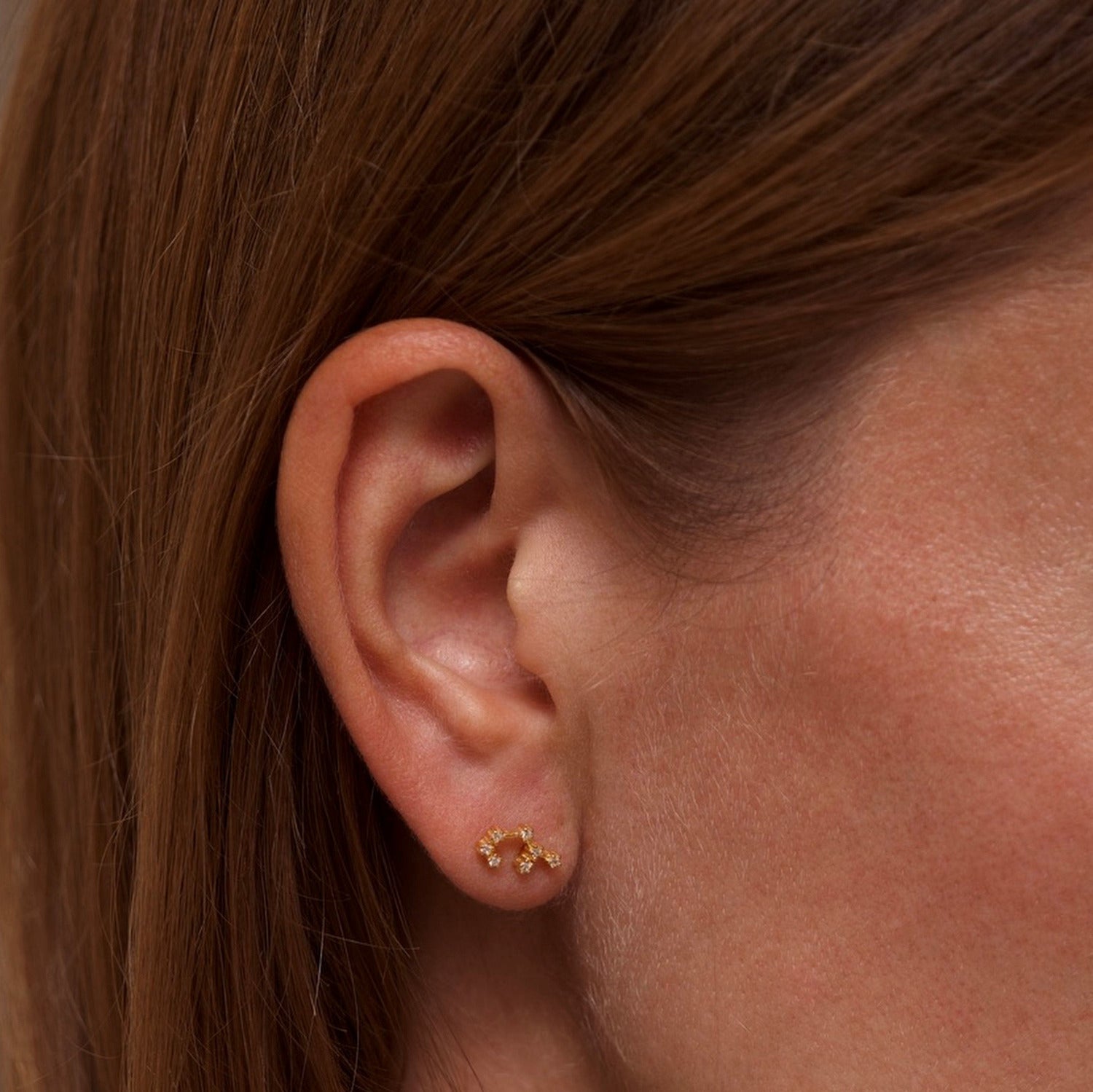 Sagittarius Zodiac Constellation Earrings