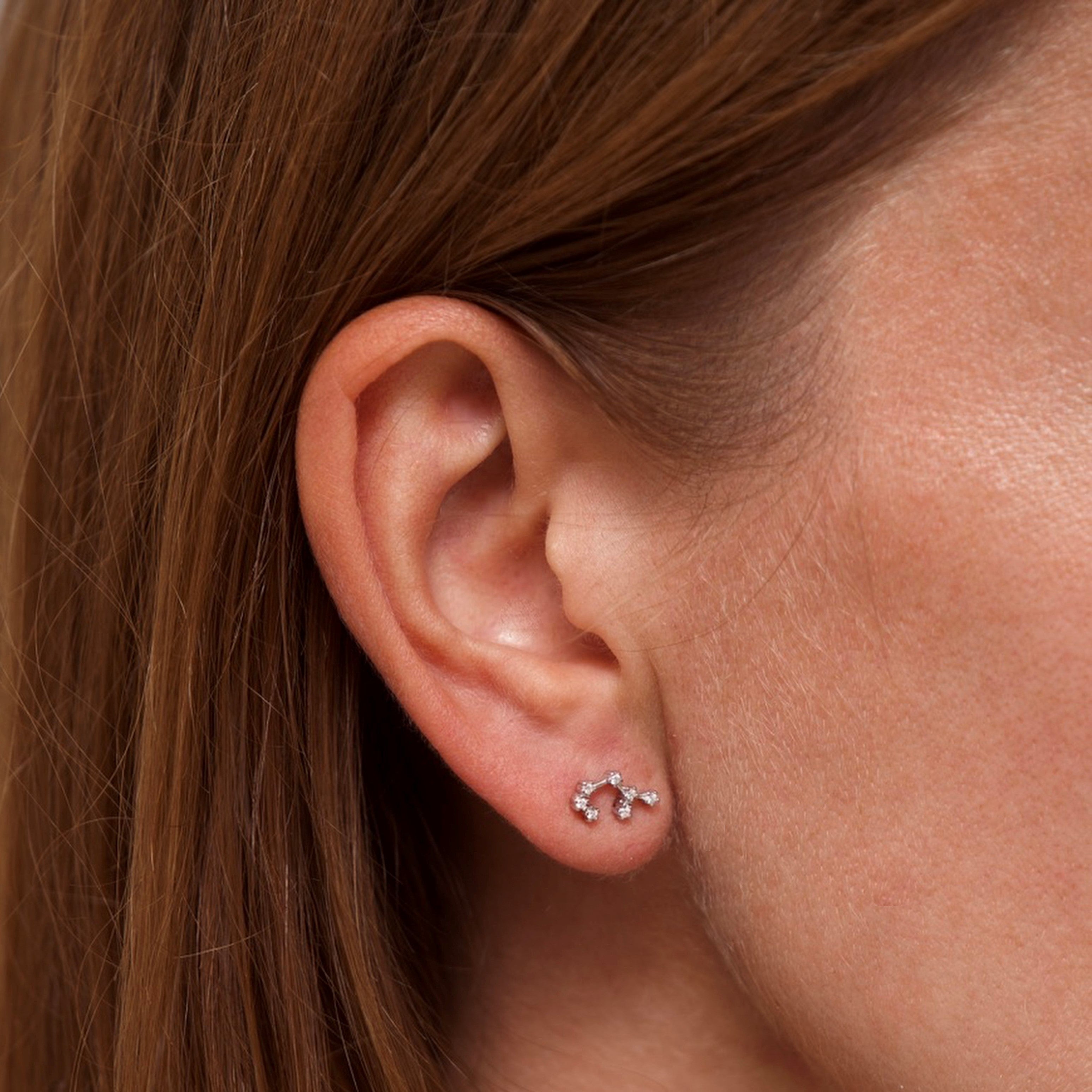 Sagittarius Zodiac Constellation Earrings