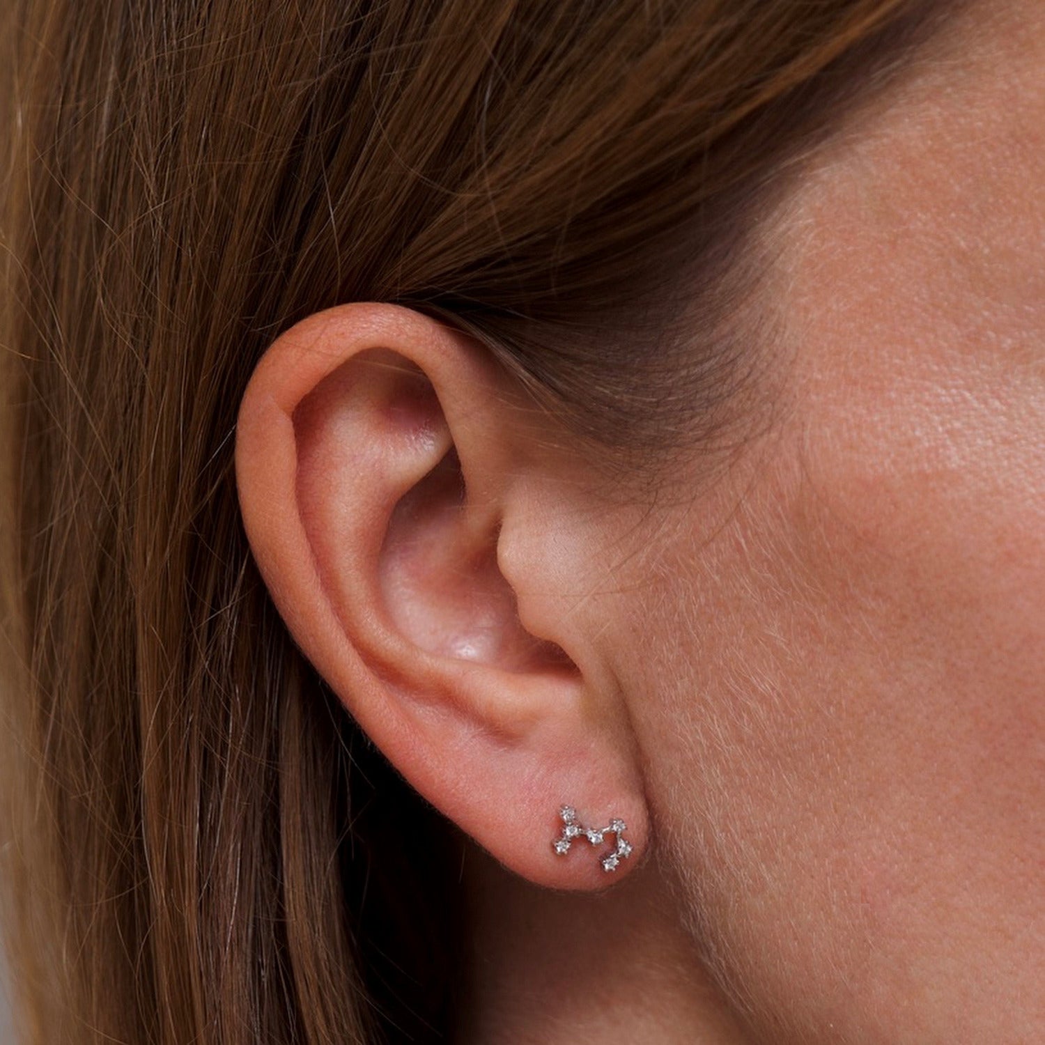 Scorpio Zodiac Constellation Earrings