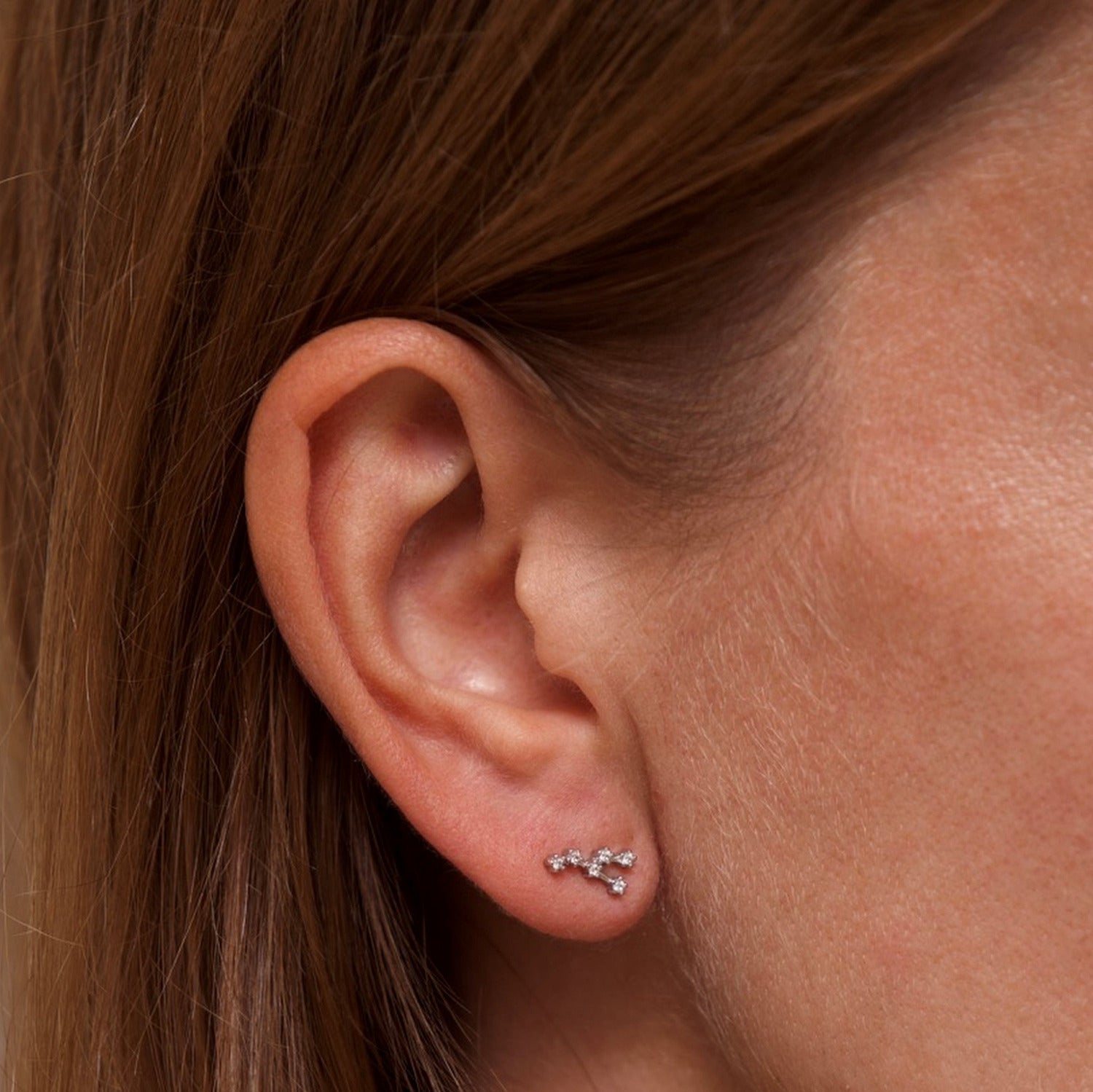 Taurus Zodiac Constellation Earrings